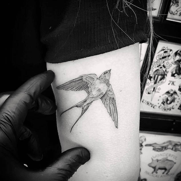 86b992_000ff303fd15489ba399fbeb0b220c62~mv2