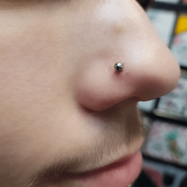 86b992_12b79e572cb84560bc58d5ef87077ce6~mv2