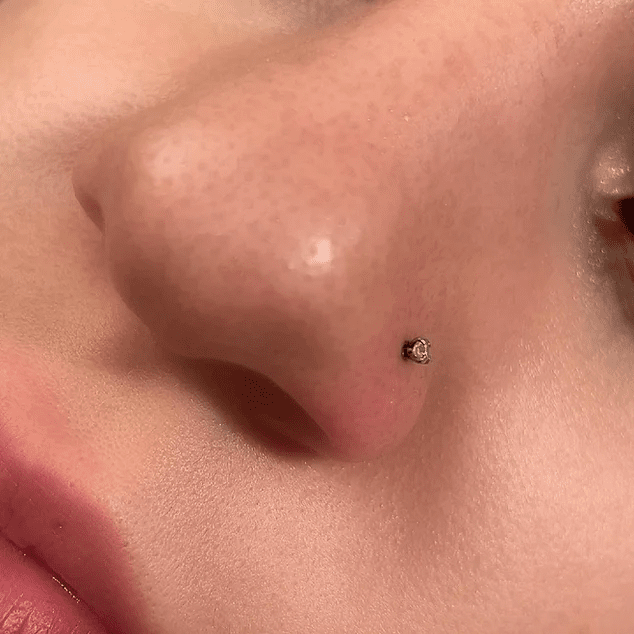 86b992_2454e756182e4487b33c9e61e269c761~mv2