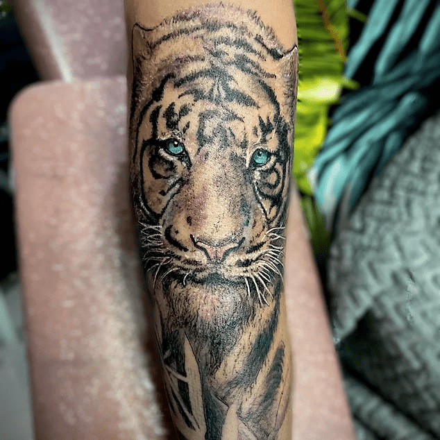 86b992_249376da41b94fc2b1184b64bf64ce45~mv2