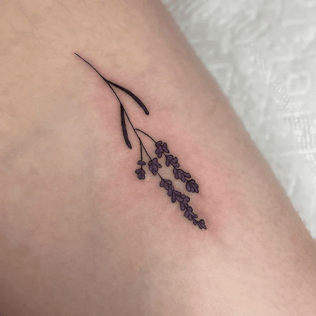 86b992_4ee4f9f38dee419f826649b1e37ee2b7~mv2