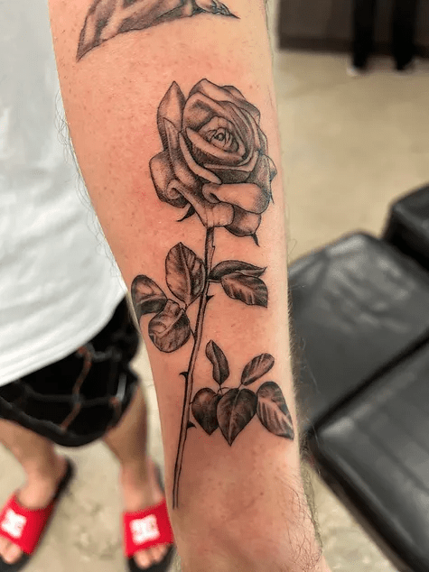 86b992_5a4a3971b4c34d26a5fc8948f6e87e6f~mv2