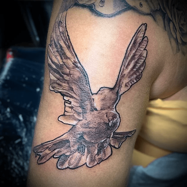 86b992_72ac1ae3ecb24c9699130141cd6e92f8~mv2