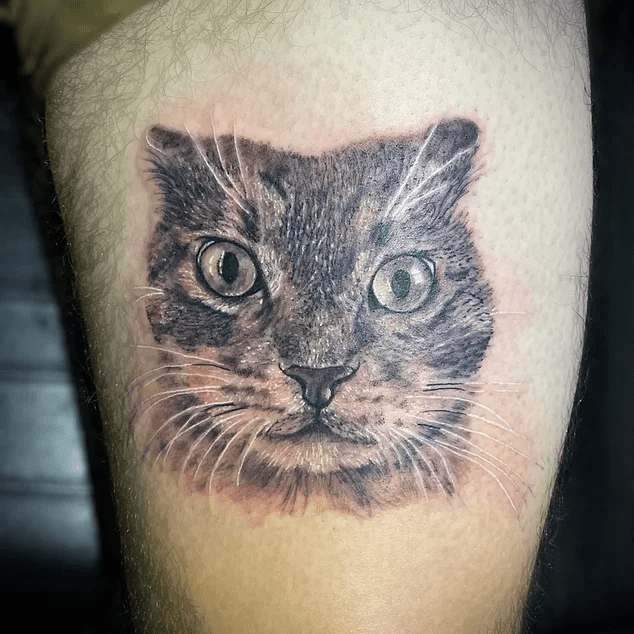 86b992_9546536fd3304565a0fce6367975622c~mv2