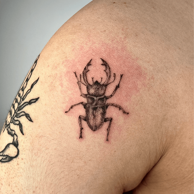 86b992_b47a1765d6a24d428e62d1d0cc375044~mv2