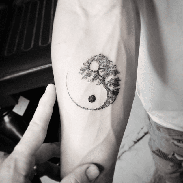 86b992_b5e4c80e0938480e91a84dccd6cbc484~mv2