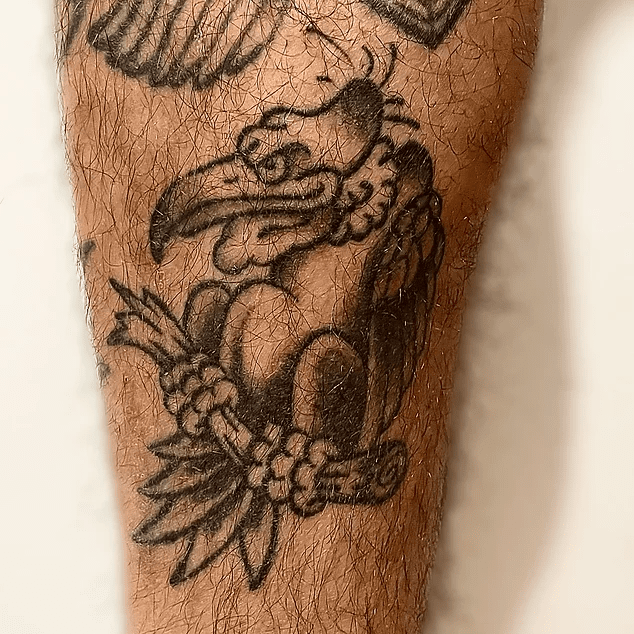 86b992_ed6c5156b6e445639ae7628568ca40f5~mv2