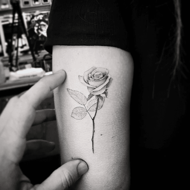 86b992_ee72d0a6c7044e878bf37f716cf3bb72~mv2