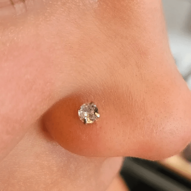 86b992_f387c8fdf0424045a86048ef1675a831~mv2