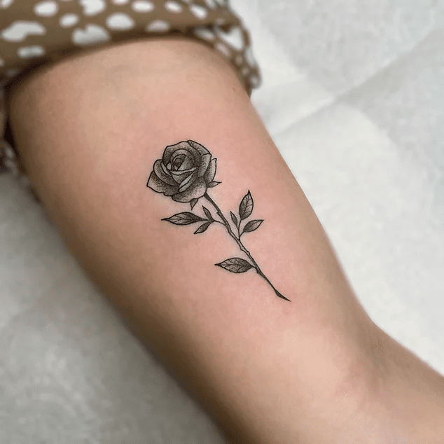 86b992_fff4050c8d1f4cf08e41742ccd299ce9~mv2